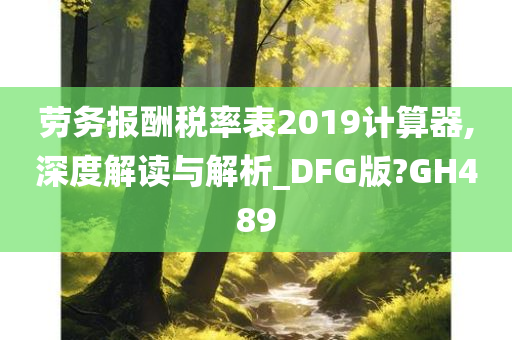 劳务报酬税率表2019计算器,深度解读与解析_DFG版?GH489