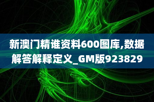 新澳门精谁资料600图库,数据解答解释定义_GM版923829