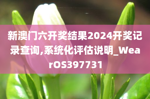 新澳门六开奖结果2024开奖记录查询,系统化评估说明_WearOS397731