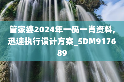 管家婆2024年一码一肖资料,迅速执行设计方案_5DM917689