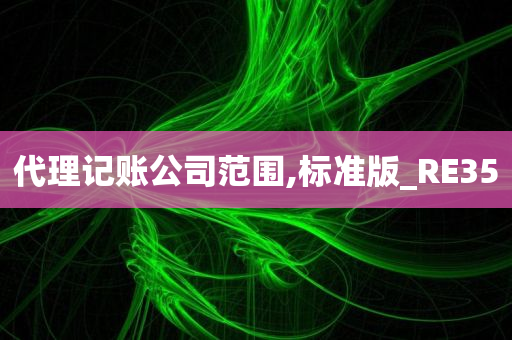 代理记账公司范围,标准版_RE35