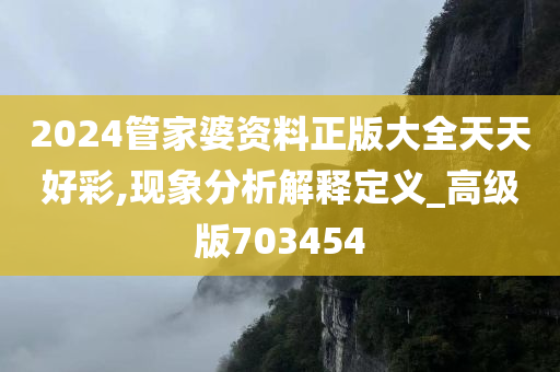 2024管家婆资料正版大全天天好彩,现象分析解释定义_高级版703454