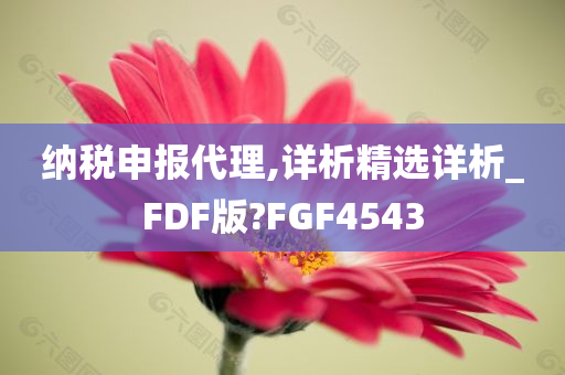 纳税申报代理,详析精选详析_FDF版?FGF4543