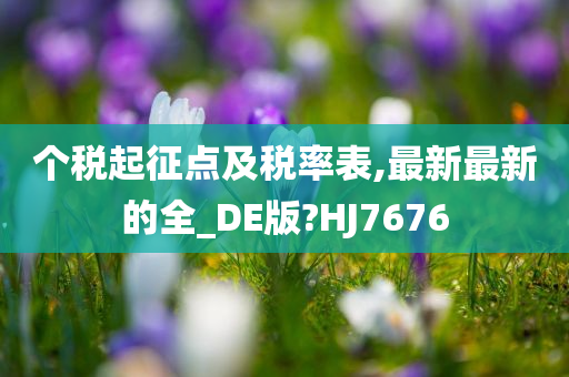 个税起征点及税率表,最新最新的全_DE版?HJ7676