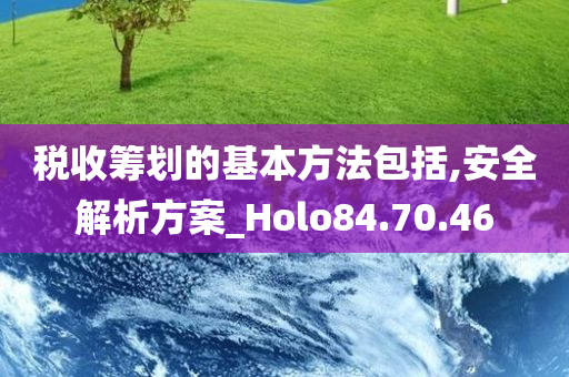 税收筹划的基本方法包括,安全解析方案_Holo84.70.46