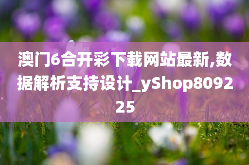 澳门6合开彩下载网站最新,数据解析支持设计_yShop809225