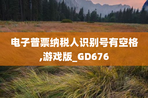 电子普票纳税人识别号有空格,游戏版_GD676