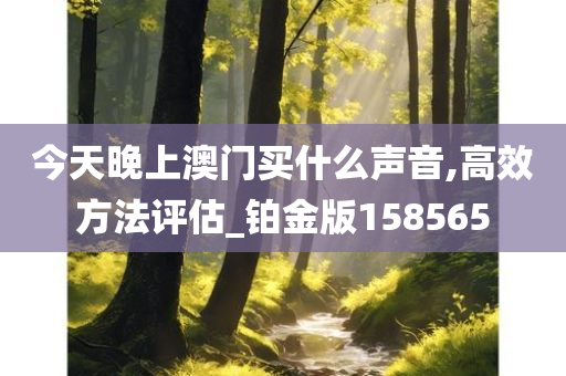 今天晚上澳门买什么声音,高效方法评估_铂金版158565