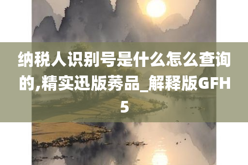 纳税人识别号是什么怎么查询的,精实迅版莠品_解释版GFH5