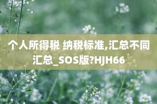 个人所得税 纳税标准,汇总不同汇总_SOS版?HJH66