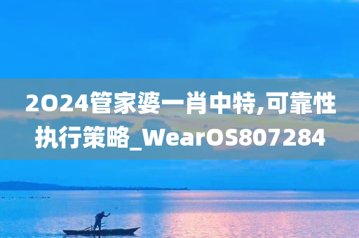 2O24管家婆一肖中特,可靠性执行策略_WearOS807284