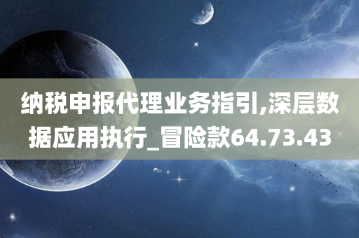 纳税申报代理业务指引,深层数据应用执行_冒险款64.73.43