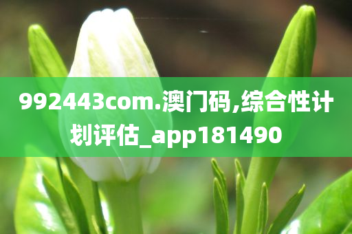 992443com.澳门码,综合性计划评估_app181490