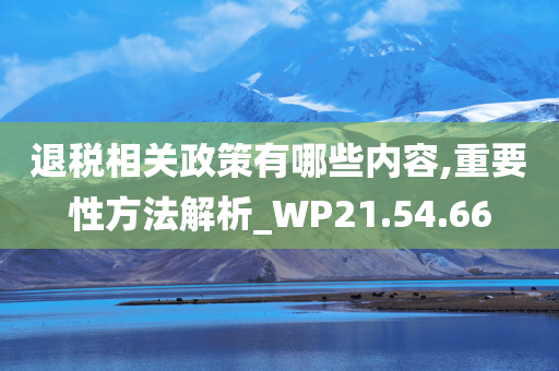 退税相关政策有哪些内容,重要性方法解析_WP21.54.66