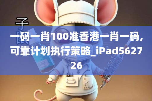 一码一肖100准香港一肖一码,可靠计划执行策略_iPad562726