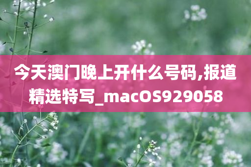 今天澳门晚上开什么号码,报道精选特写_macOS929058