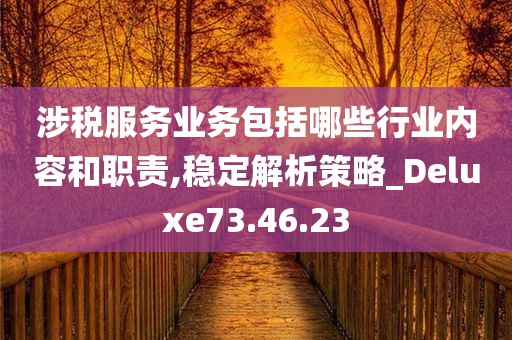 涉税服务业务包括哪些行业内容和职责,稳定解析策略_Deluxe73.46.23