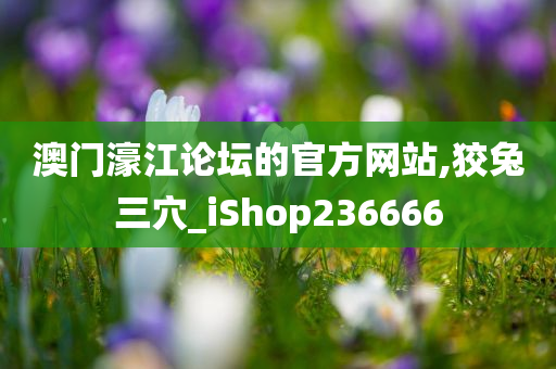 澳门濠江论坛的官方网站,狡兔三穴_iShop236666