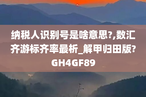 纳税人识别号是啥意思?,数汇齐游标齐率最析_解甲归田版?GH4GF89