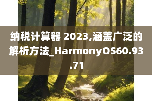 纳税计算器 2023,涵盖广泛的解析方法_HarmonyOS60.93.71