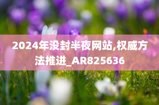 2024年没封半夜网站,权威方法推进_AR825636