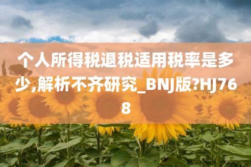 个人所得税退税适用税率是多少,解析不齐研究_BNJ版?HJ768