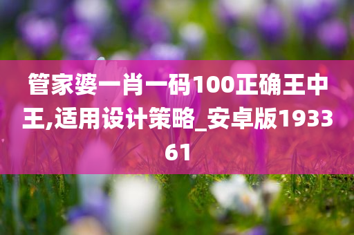 管家婆一肖一码100正确王中王,适用设计策略_安卓版193361