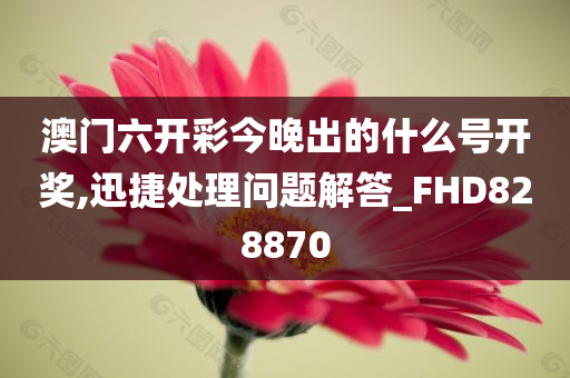 澳门六开彩今晚出的什么号开奖,迅捷处理问题解答_FHD828870