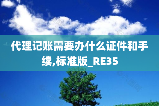 代理记账需要办什么证件和手续,标准版_RE35