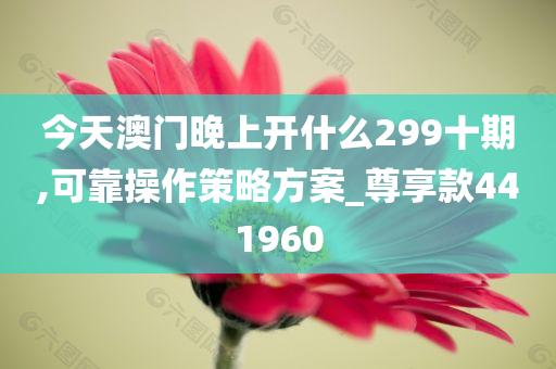 今天澳门晚上开什么299十期,可靠操作策略方案_尊享款441960