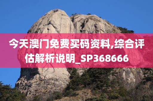 今天澳门免费买码资料,综合评估解析说明_SP368666