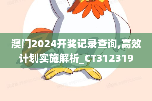 澳门2024开奖记录查询,高效计划实施解析_CT312319