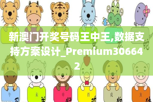 新澳门开奖号码王中王,数据支持方案设计_Premium306642