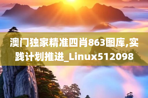 澳门独家精准四肖863图库,实践计划推进_Linux512098