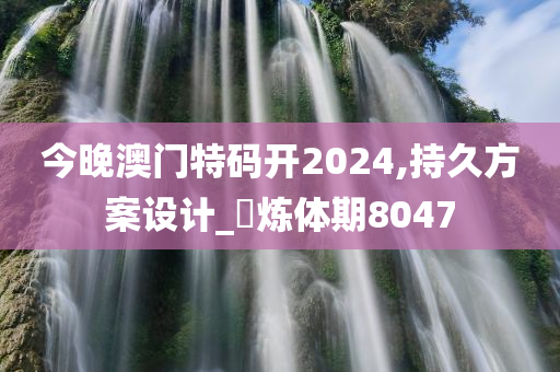 今晚澳门特码开2024,持久方案设计_‌炼体期8047