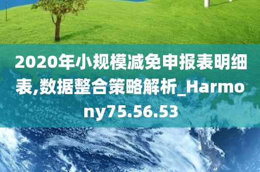 2020年小规模减免申报表明细表,数据整合策略解析_Harmony75.56.53