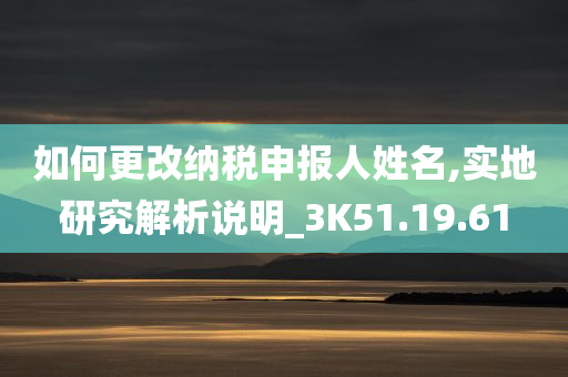 如何更改纳税申报人姓名,实地研究解析说明_3K51.19.61