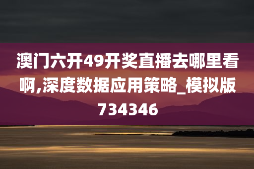 澳门六开49开奖直播去哪里看啊,深度数据应用策略_模拟版734346