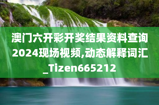 澳门六开彩开奖结果资料查询2024现场视频,动态解释词汇_Tizen665212