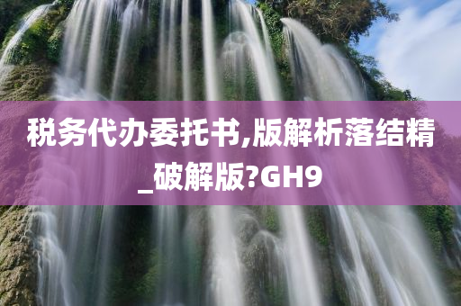 税务代办委托书,版解析落结精_破解版?GH9