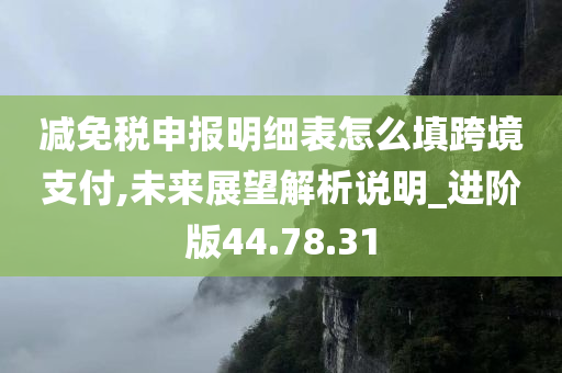 减免税申报明细表怎么填跨境支付,未来展望解析说明_进阶版44.78.31