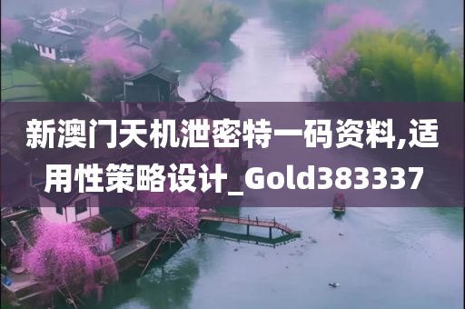 新澳门天机泄密特一码资料,适用性策略设计_Gold383337