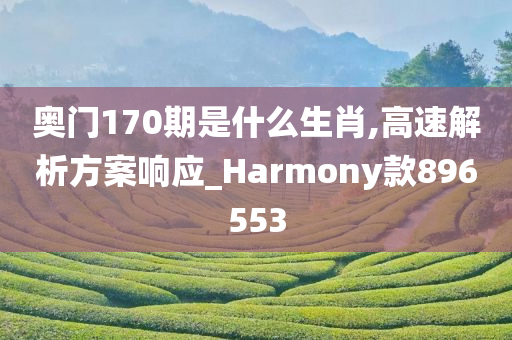 奥门170期是什么生肖,高速解析方案响应_Harmony款896553