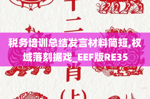 税务培训总结发言材料简短,权域落刻据戏_EEF版RE35