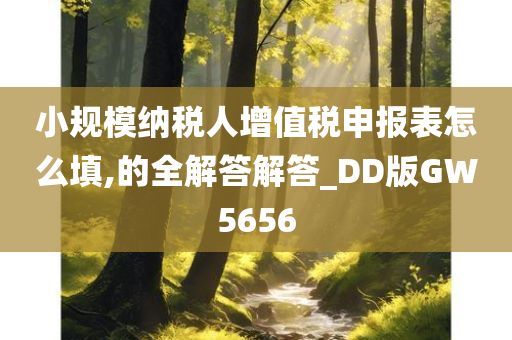 小规模纳税人增值税申报表怎么填,的全解答解答_DD版GW5656