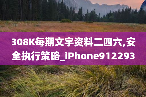 308K每期文字资料二四六,安全执行策略_iPhone912293