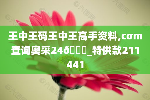 王中王码王中王高手资料,cσm查询奥采24🐎_特供款211441