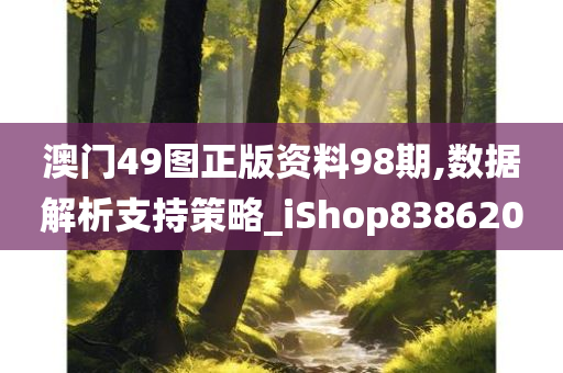 澳门49图正版资料98期,数据解析支持策略_iShop838620