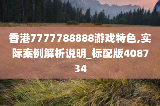 香港7777788888游戏特色,实际案例解析说明_标配版408734