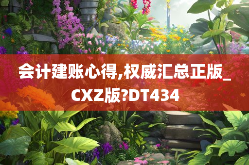 会计建账心得,权威汇总正版_CXZ版?DT434